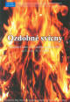 Ozdobn� sv�cny - plak�t k v�stav�