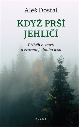 Když prší jehličí: příběh o smrti a zrození jednoho lesa / Aleš Dostál - obálka knihy