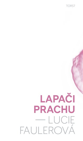Lapači prachu / Lucie Faulerová - obálka knihy Lapači prachu / Lucie Faulerová - obálka knihy