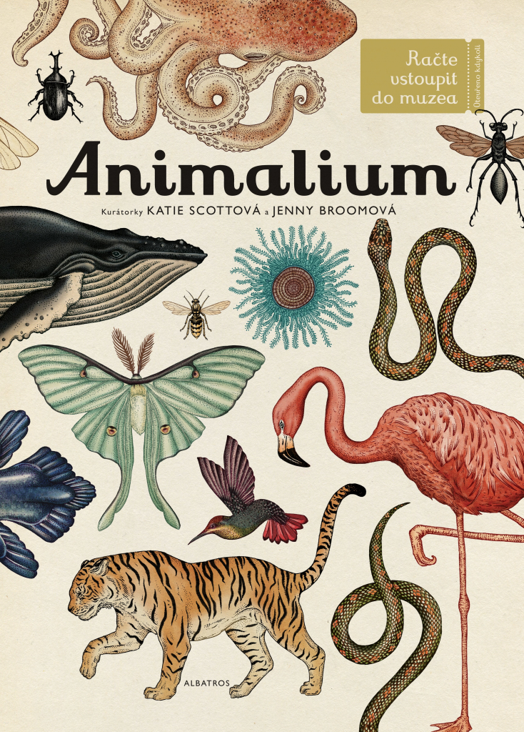 Animalium - račte vstoupit do muzea: otevřeno kdykoli / Katie Scottová a Jenny Broomová - obálka knihy