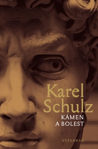 Kámen a bolest / Karel Schulz - obálka knihy Kámen a bolest / Karel Schulz - obálka knihy