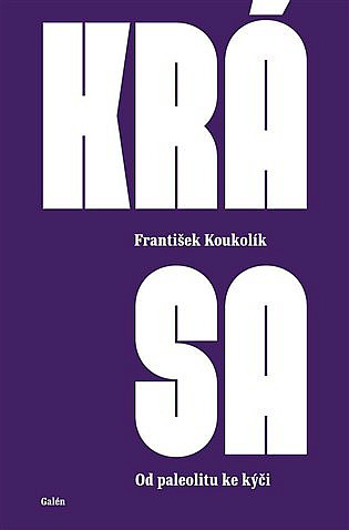 Krása: od paleolitu ke kýči / František Koukolík - obálka knihy Krása: od paleolitu ke kýči / František Koukolík - obálka knihy