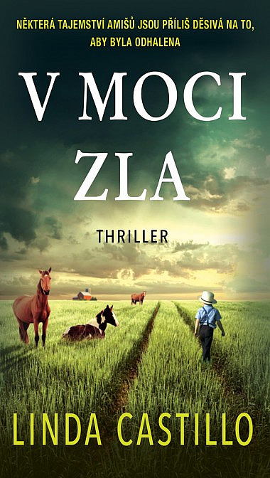 V moci zla / Linda Castillo - obálka knihy V moci zla / Linda Castillo - obálka knihy