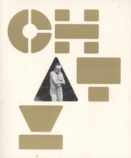 České chaty: architektura za branou každodennosti / kolektiv autorů - obálka knihy