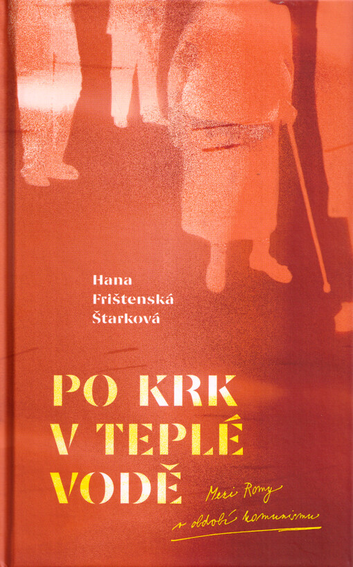 Po krk v teplé vodě: mezi Romy v období komunismu / Hana Frištenská Štarková - obálka knihy