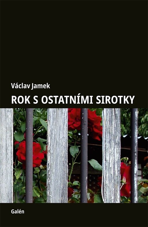Rok s ostatními sirotky / Václav Jamek - obálka knihy
