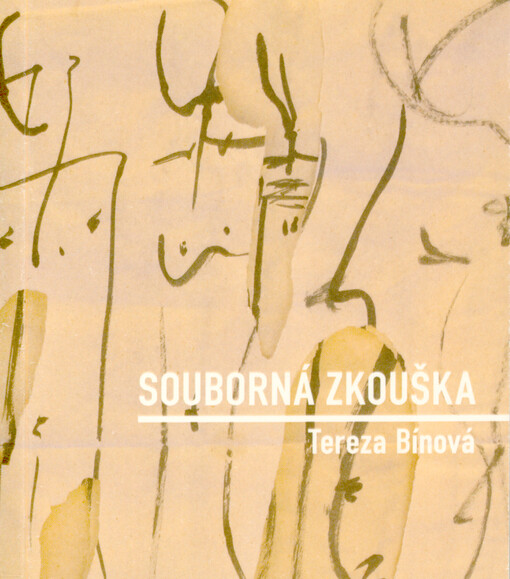 Souborná zkouška / Tereza Bínová - obálka knihy Souborná zkouška / Tereza Bínová - obálka knihy