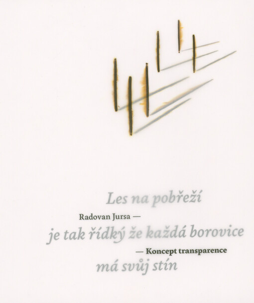 Koncept transparence / Radovan Jursa - obálka knihy