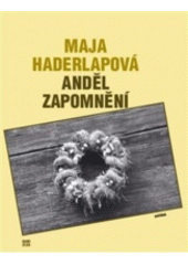 Anděl zapomnění / Maja Haderlapová - obálka knihy Anděl zapomnění / Maja Haderlapová - obálka knihy