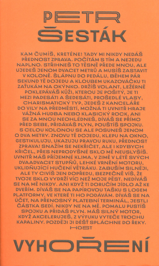 Vyhoření: pamflet, román, alegorie / Petr Šesták - obálka knihy Vyhoření: pamflet, román, alegorie / Petr Šesták - obálka knihy