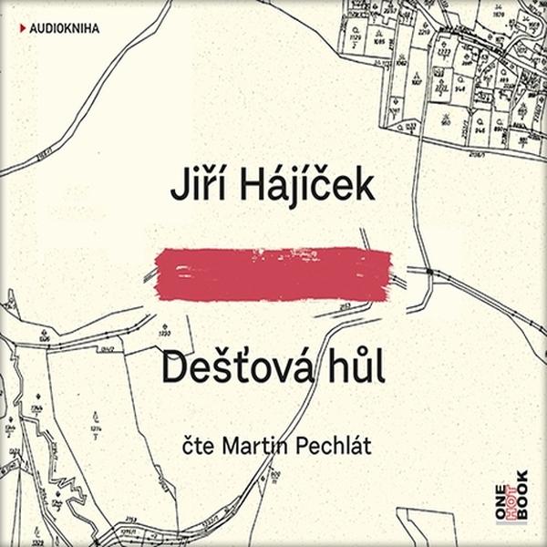 Dešťová hůl [audiokniha] / Jiří Hájíček (čte Martin Pechlát) - obálka CD