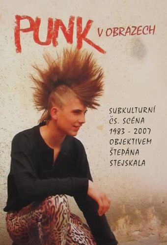 Punk v obrazech: subkulturní čs. scéna 1983-2007 objektivem Štěpána Stejskala / Radka Veverková - obálka knihy