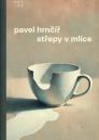 Střepy v mlíce / Pavel Hrnčíř - obálka knihy
