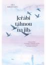 Jeřábi táhnou na jih / Lisa Ridzénová - obálka knihy