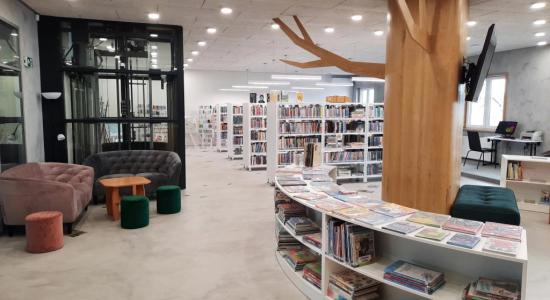 Místní knihovna v Halenkovicích