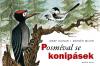 Josef Kainar